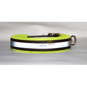 Basset Hound collar