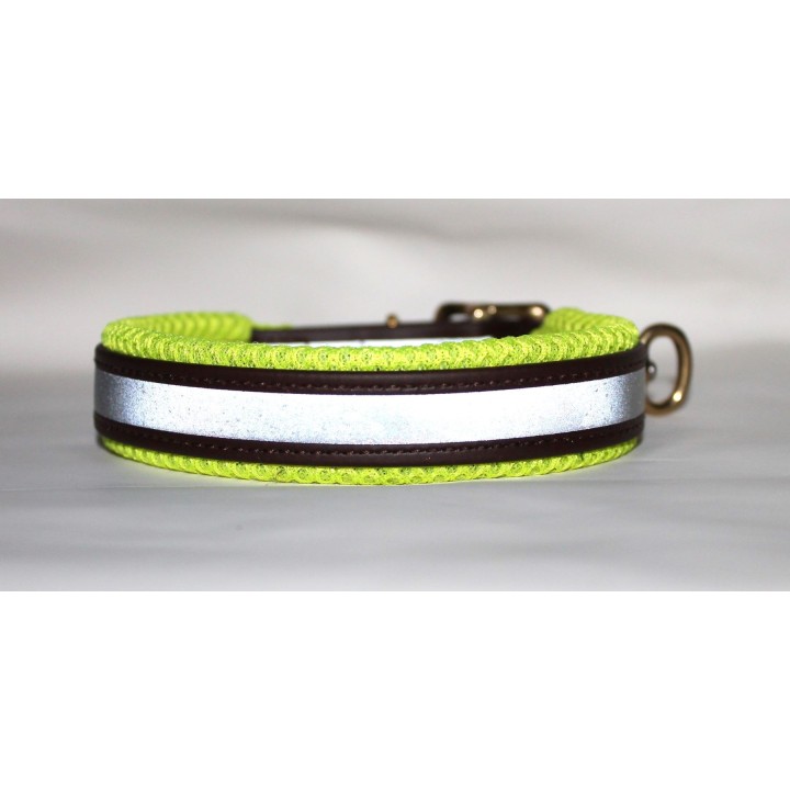 collar for dachshund
