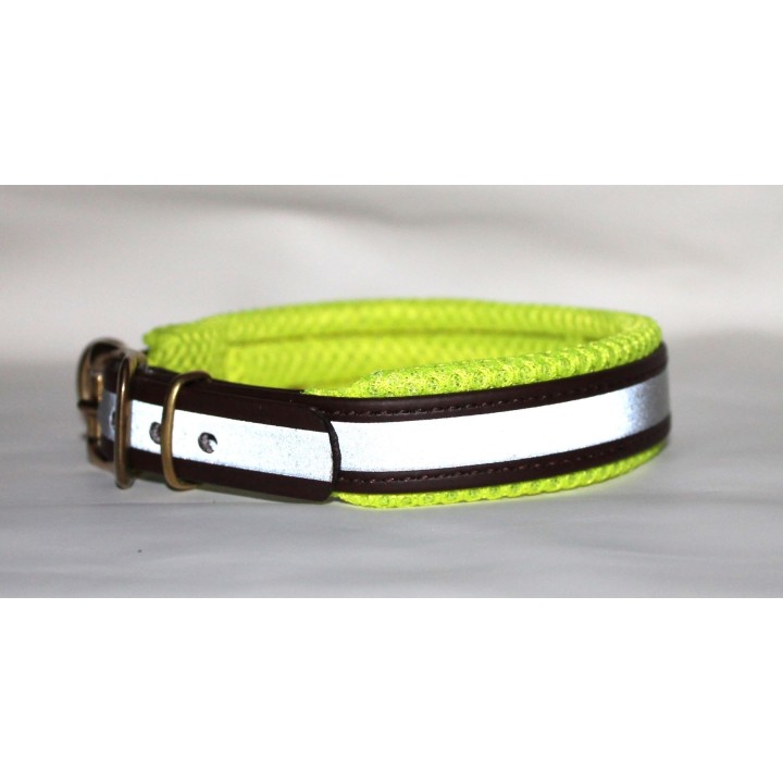 collar for dachshund