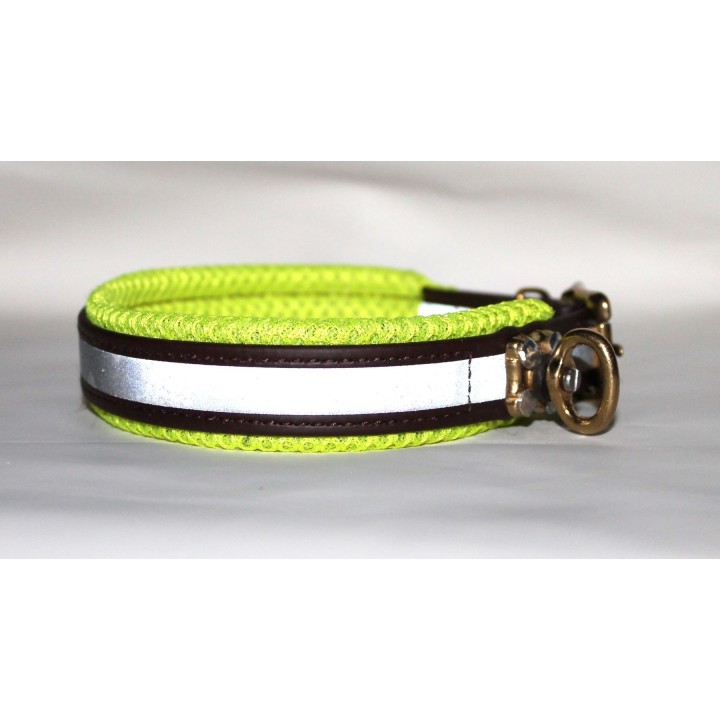 collar for dachshund