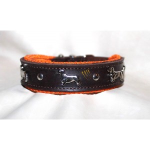 Basset Hound collar