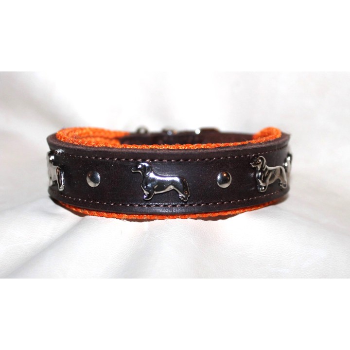 collar for dachshund