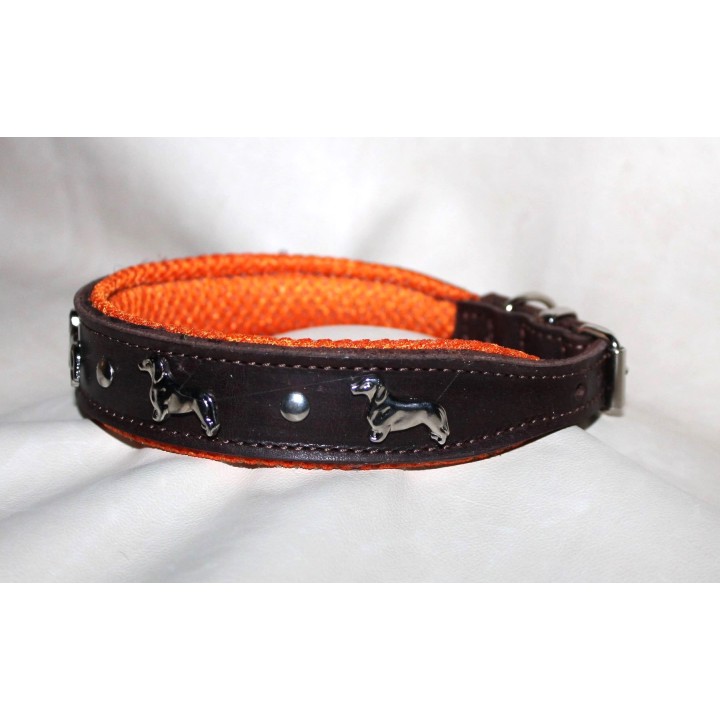collar for dachshund