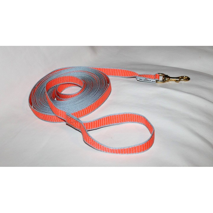long leash in nylon