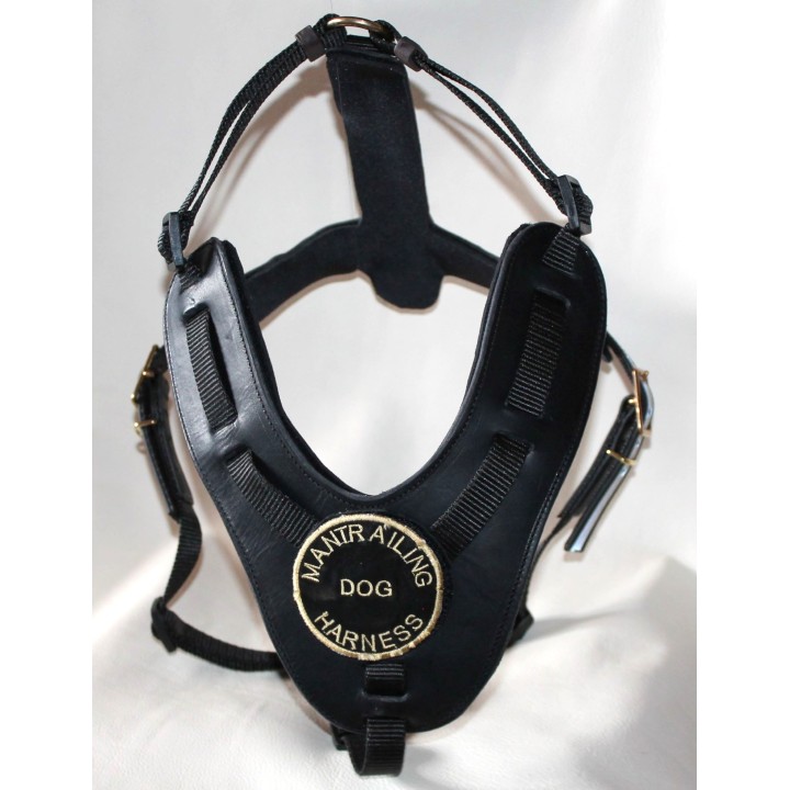 bloodhound harness