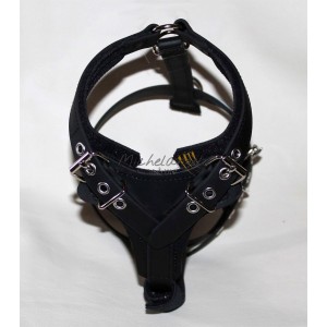 copy of Harness for Jack...