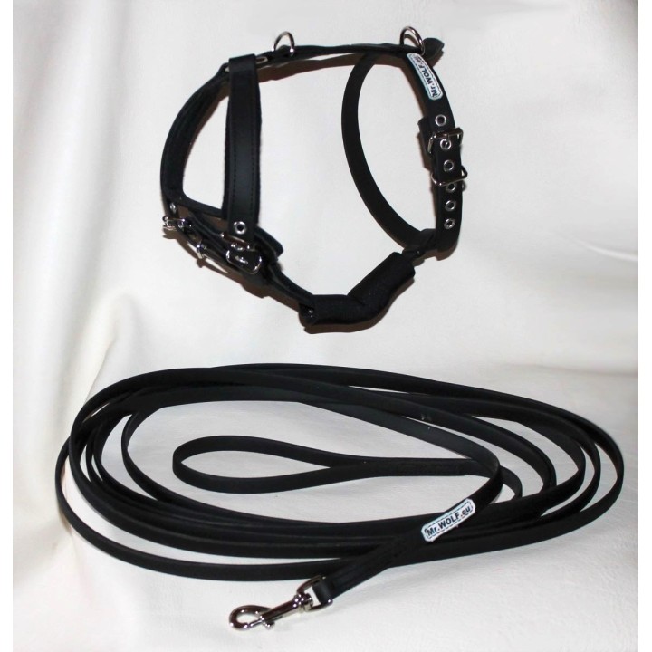 harness for jack russell