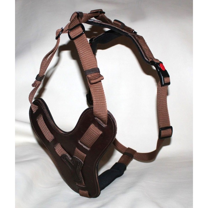 bloodhound harness