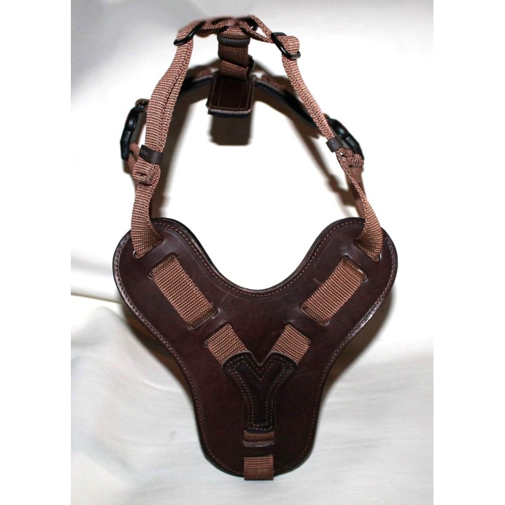 bloodhound harness