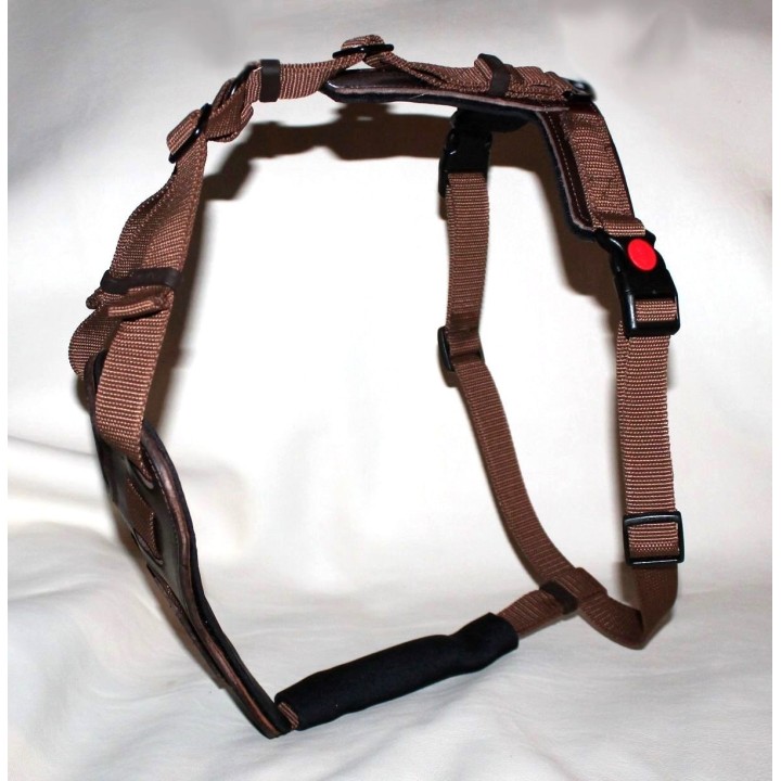 bloodhound harness