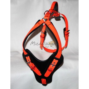 Mantrailing harness