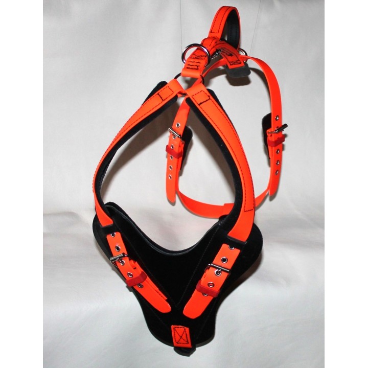 bloodhound harness