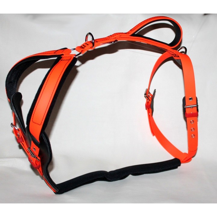 bloodhound harness