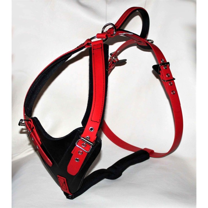 bloodhound harness