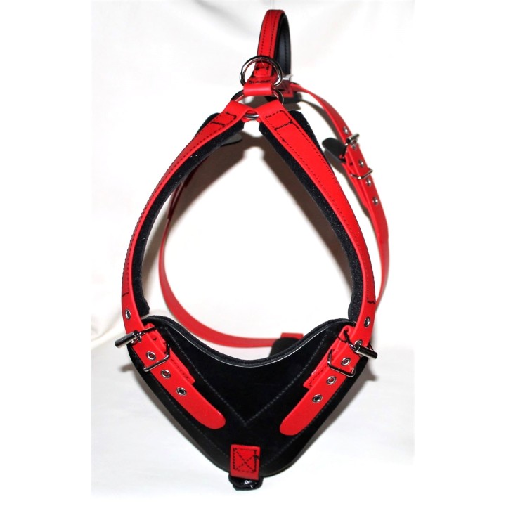 bloodhound harness