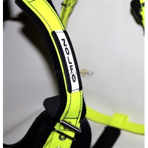 Engraved name for Mister...