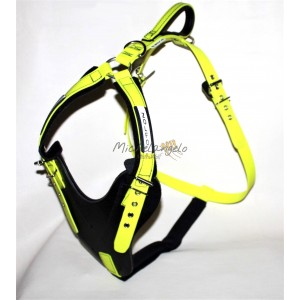 Mantrailing harness whith name
