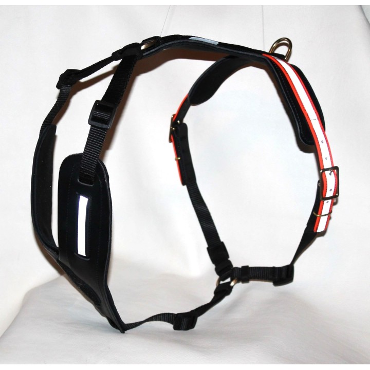 bloodhound harness