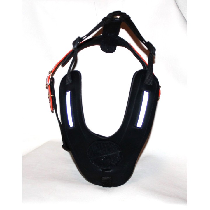 bloodhound harness