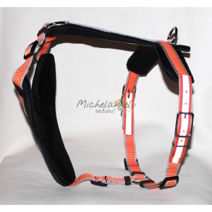 Mantrailing harness