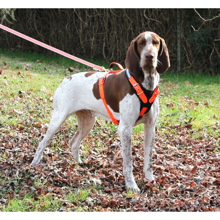 pettorina per cani in biothane