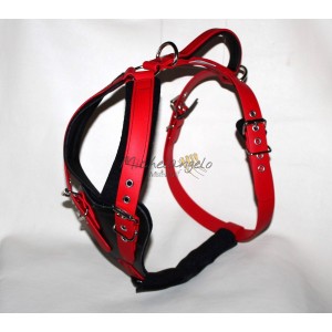 Biothane harness for...