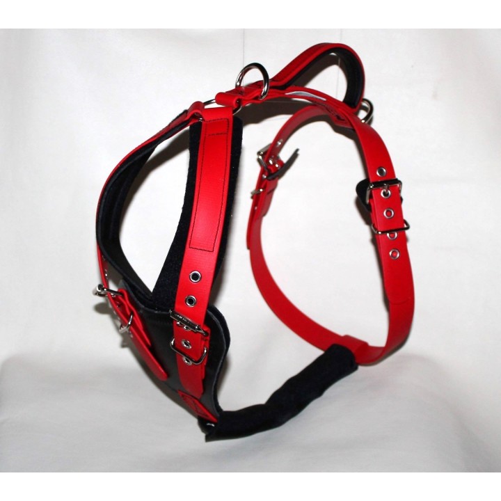 dog harness