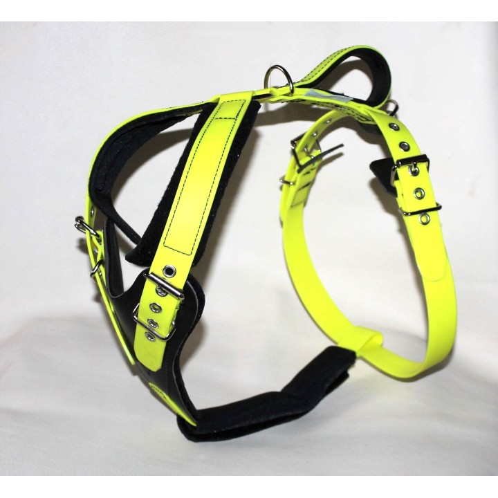 dog harness