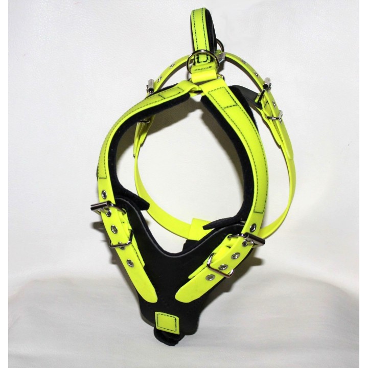 dog harness