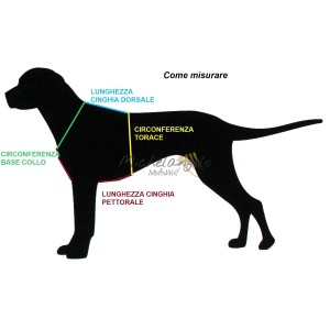 Harness for Jack Russel