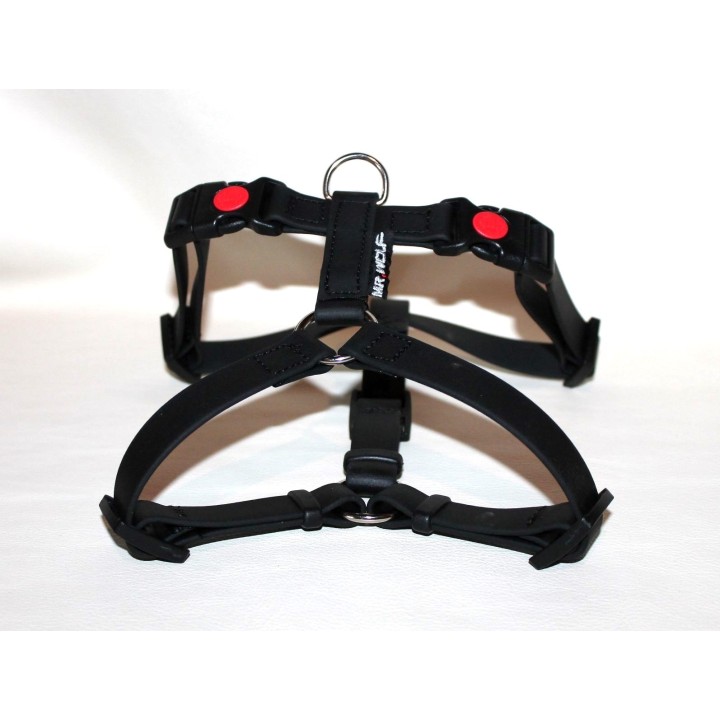 harness for jack russell