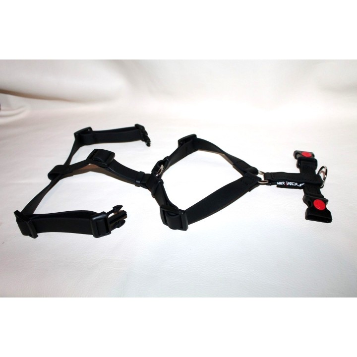 harness for jack russell