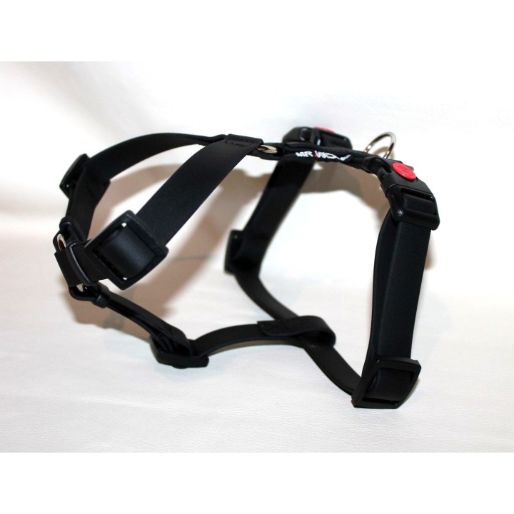 harness for jack russell