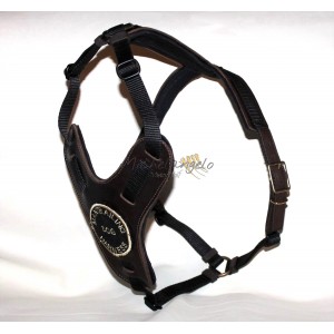 Pettorina Mantrailing