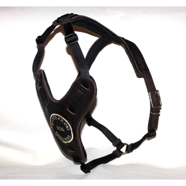 bloodhound harness