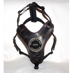 Mantrailing harness