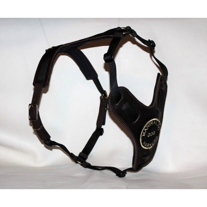 bloodhound harness