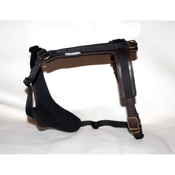 bloodhound harness