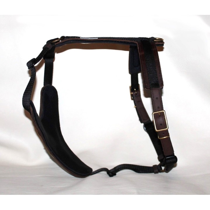 bloodhound harness