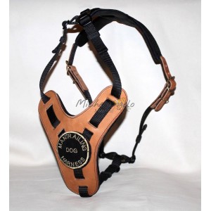 Mantrailing harness