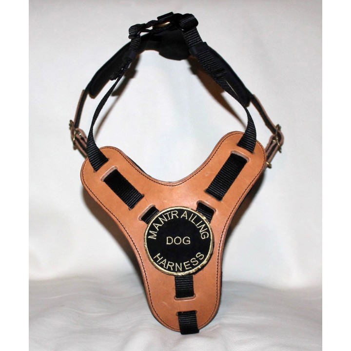 bloodhound harness