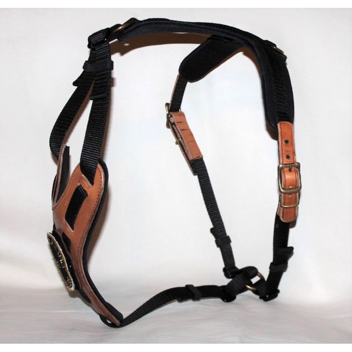 bloodhound harness