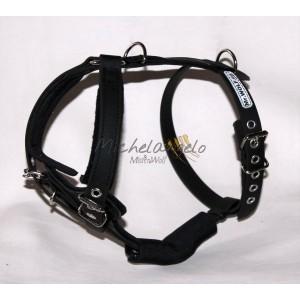 copy of Harness for Jack...