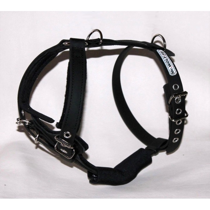 harness for jack russell