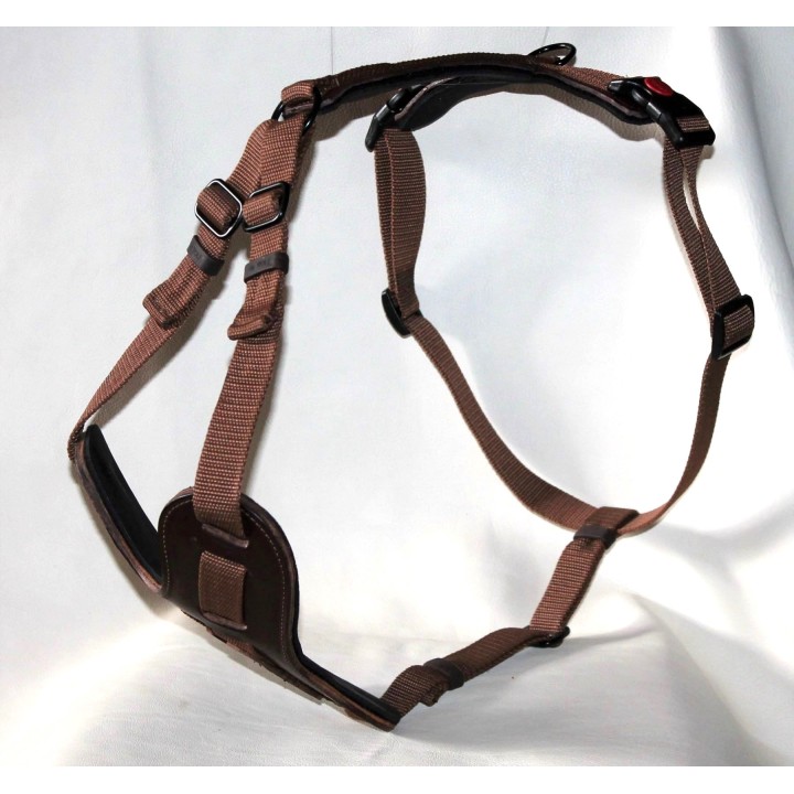 bloodhound harness
