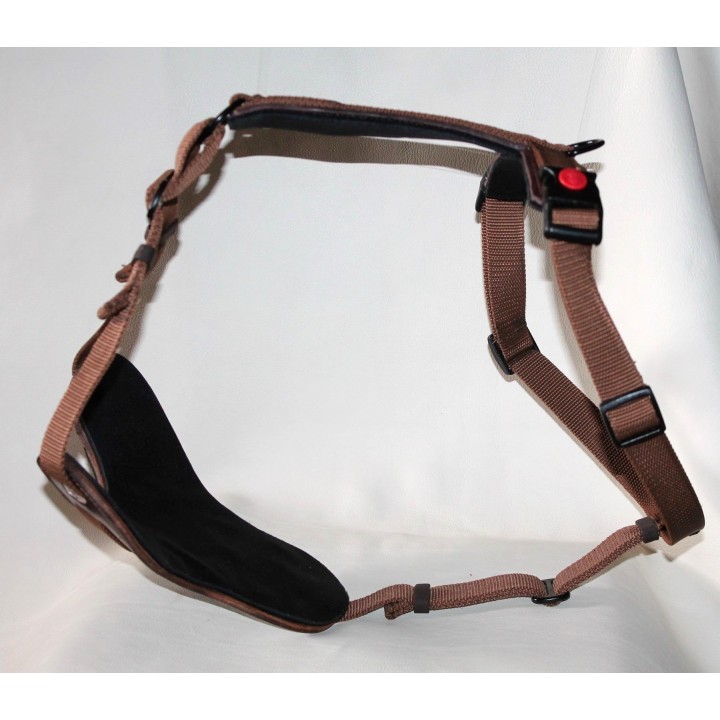 bloodhound harness