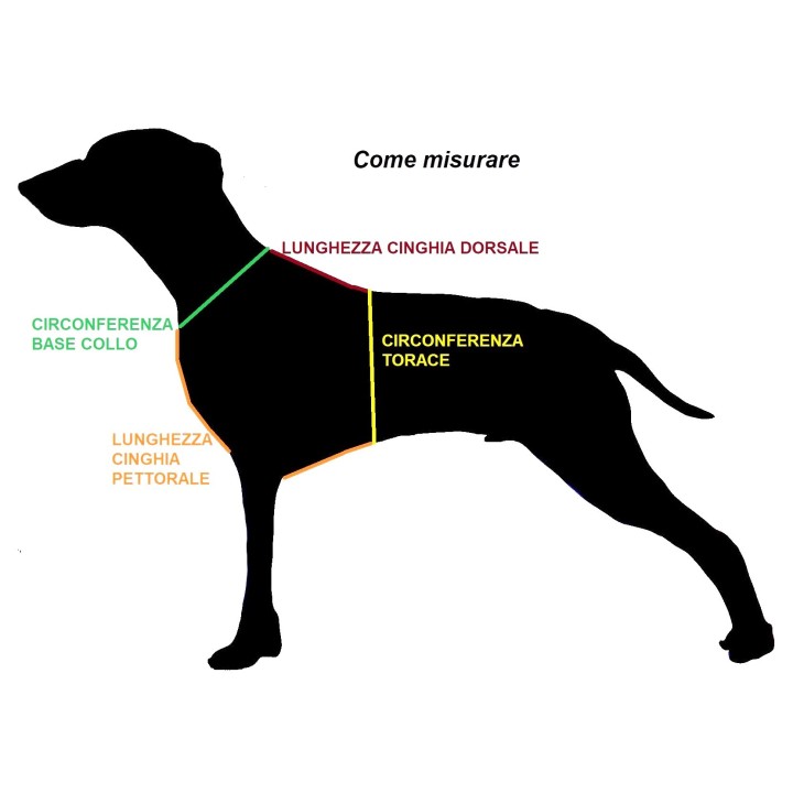 dog harness