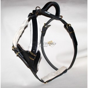 Bloodhound Mantrailing harness
