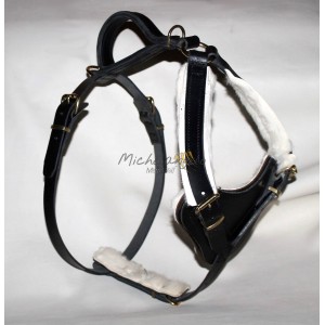 Bloodhound Mantrailing harness