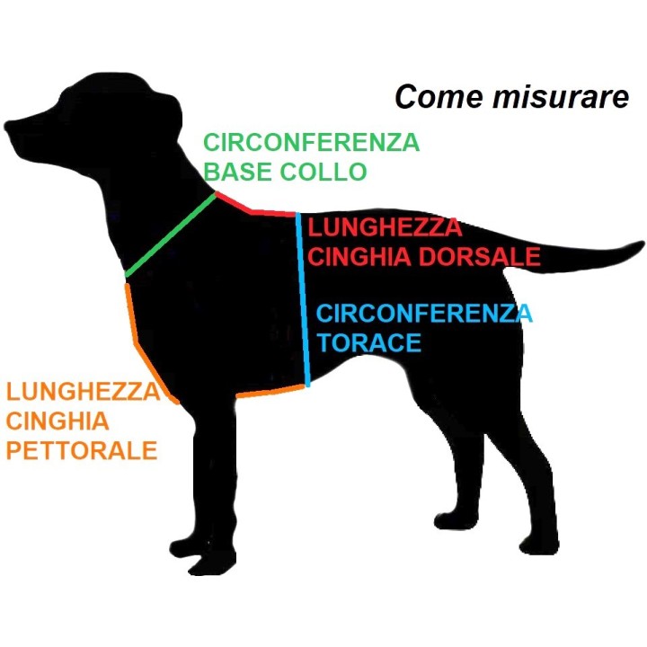 biothane harness for dog